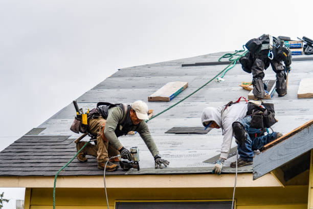 Professional Gutter Installation technician working in Dwight, IL